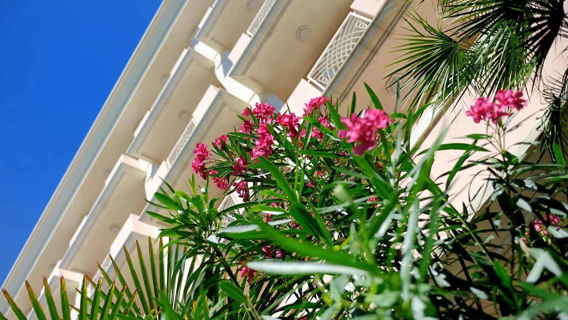 Hotel Tiffany Rimini 3*,  Italien